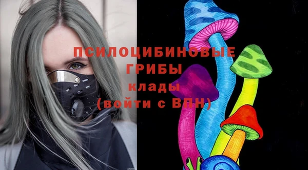 индика Алексеевка