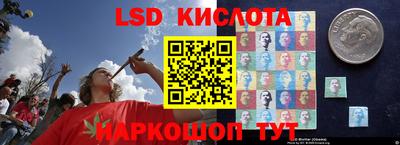 jwh Новокубанск