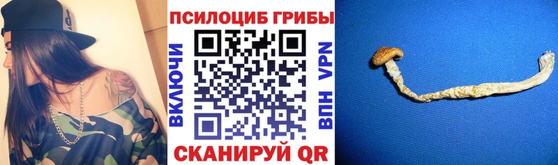 наркошоп Учалы Псилоцибиновые грибы Magic Shrooms