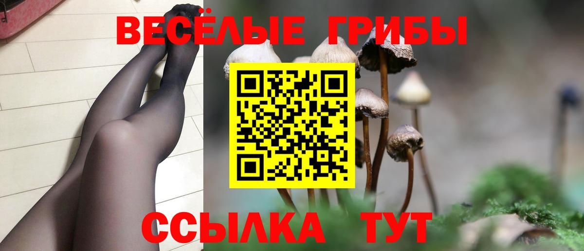 Псилоцибиновые грибы Cubensis Учалы